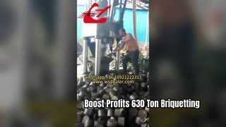 630 Ton Briquetting Press